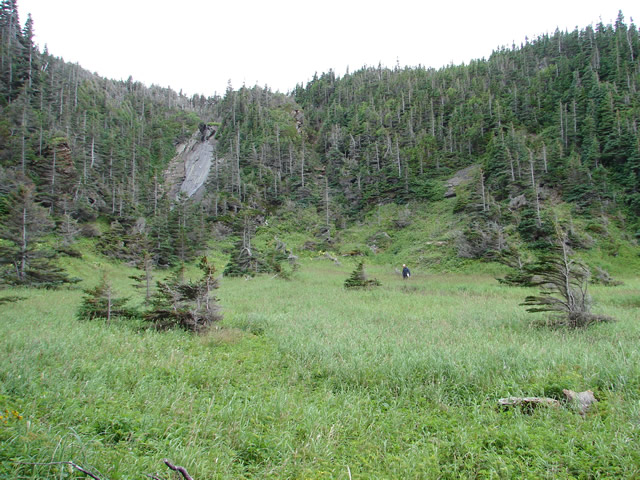 Site of the French fishing room at Pilier.